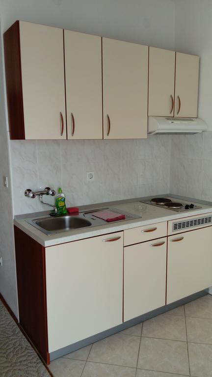 Apartment Branko